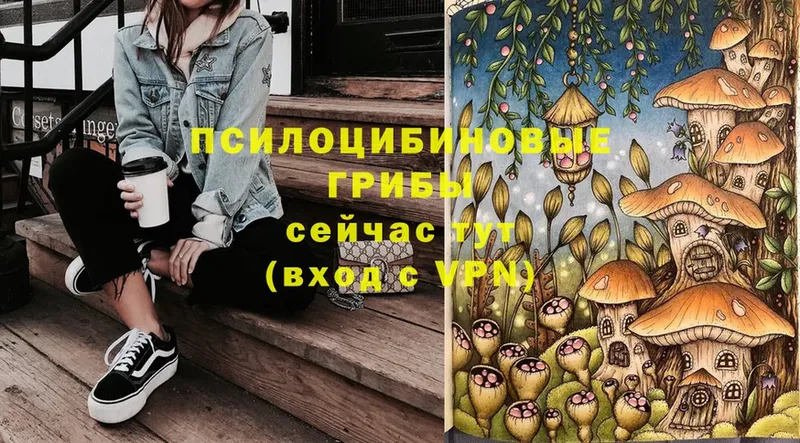 хочу   Голицыно  площадка клад  Псилоцибиновые грибы Magic Shrooms 